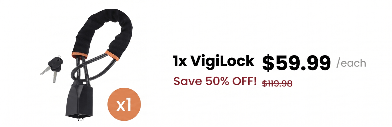 VigiLock Discount Package 1