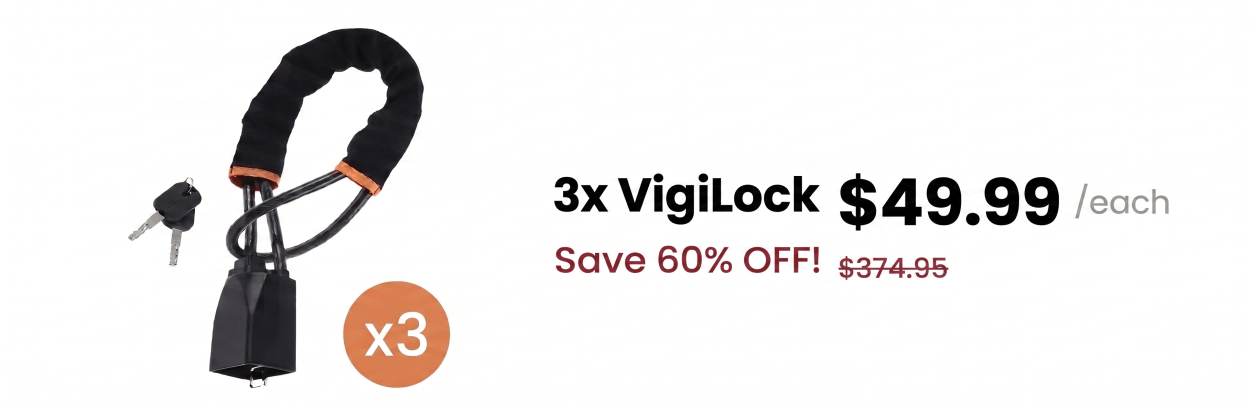 VigiLock Discount Package 3